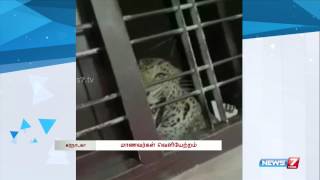 Video: Leopard  entered into a school at chikkmangalur | India | News7 Tamil |