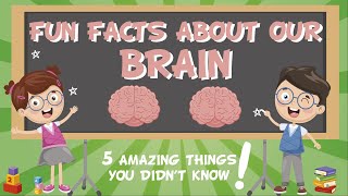 Our Brain: AMAZING FUN FACTS | Educational Videos For Kids