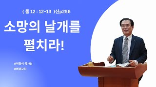 예광교회 오전 대 예배 __설교 : 소망의 날개를 펼쳐라! (롬 12 : 12~13)신p256