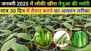 मात्र 30 दिन में लौकी खीरा नेनुआ की नर्सरी कैसे तैयार करें।।Lauki khira Nenuaa ki ageti nursery 2025