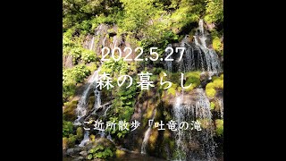 森の暮らし2022 5 27 地域散策「吐竜の滝」