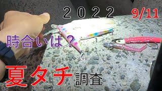 【 夏タチ調査！】　朝まずめ太刀魚の時合は？　たかちゃん釣りに行く！