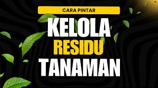 Cara Pintar Kelola Residu Tanaman dengan C/N Rasio untuk Tanah Subur \u0026 Hasil Panen Melimpah