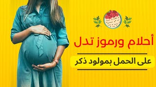 أحلام  تدل على الحمل بولد ذكر , ابشرى اذا كنتى حامل ورأيتى هذه الاحلام فسيكون المولود ذكر باذن الله