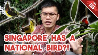 Does Size Matter?? | Sunbirds