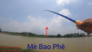 Fishing | Câu Đài | Tập 153 | Kĩ Thuật Câu Cá Mè , Cách Câu Cá Mè Trời Sóng Gió