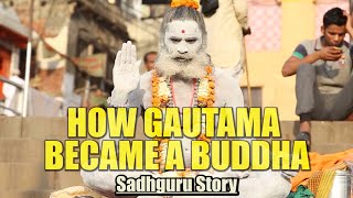 HOW GAUTAMA BECAMA A BUDDHA - Sadhguru Story