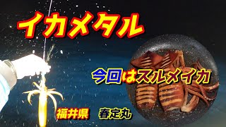 【イカメタル】今回のターゲットはスルメイカ！