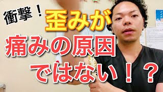 【飯能 腰痛】歪みを矯正するだけでは痛みはとれません！