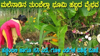 ಮಲೆನಾಡಿನ ರೈತರ ಹಚ್ಚಂಬಲಿ, ಗೂಳಿಪೂಜೆ ಭೂಮಿ ಹಬ್ಬದ ವೈಭವ The splendor of Bhumi festival in the Malenad hills