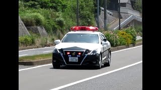 【緊急走行】北九州市警察部機動警察隊”北九602”210系クラウンアスリート