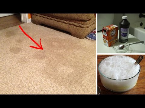 Get Rid of Dog and Cat Urine Odors The All Natural Way Get Rid of Dog and Cat Urine Odors The All Natural Way