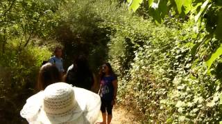 Amusement walking a the bank of the Tanur Stream, Israel (Milap Tour) 21 June 2014