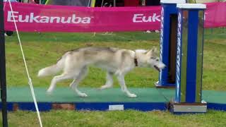 ジェリー エクストリームハイスピード2019信越北陸地区大会