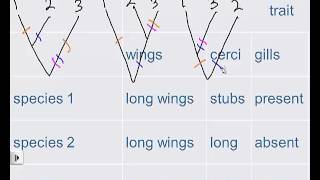 cladograms