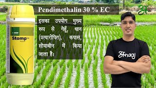 Stomp के बारे में सब कुछ जानिए | Basf |Anaaj App |Pendimethalin 30 % EC