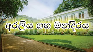 අරලිය ගහ මන්දිරය Araliyagaha mandire  Temple Trees Travel Vlog