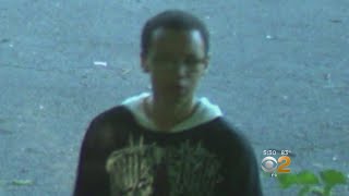 Watch: Suspect In Bronx Park Attempted Rape