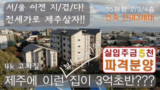 제주 서귀포시 잔여세대 파격분양 /신축분양\u0026전세/ 아이엠빌리지 2편(1.5룸/2룸/3룸:17평/24평/35평)