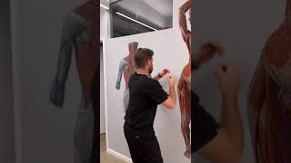 How To Fix Bad Posture Posture Correction
