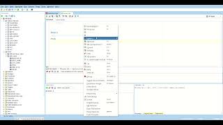 How to Open SQL scripts in SQL developer software .
