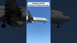 WestJet Flight WS4131 from Fort Lauderdale to Toronto # #westjett #airlines #airport