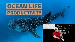 Ocean Productivity Simplified
