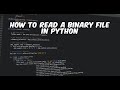 How to read a binary files in Python