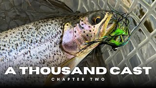 Swinging Flies for FALL PNW Steelhead (I FINALLY HOOKED ONE) | A Thousand Cast: Chapter TWO