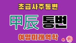 초급사주통변 19강 甲辰 통변