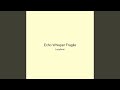 Echo Whisper Fragile