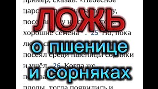 Свидетели Иеговы. Ложь о Пшенице и сорняках (Мф 13:24-30). 1 часть