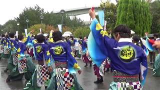 【公式】よさ朗2017　りんくうゑぇじゃないか祭り　海への道パレード①