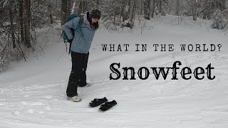 What in the world are Snowfeet?