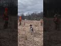 German Shorthaired Pointer Training #uplandhunting #navhda #birddogtraining