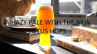 Lotus and Sabro Hazy Pale Ale