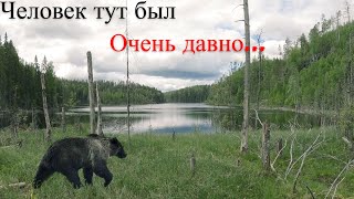 Fishing on the Wild Lake in the Taiga Wilderness. QHD