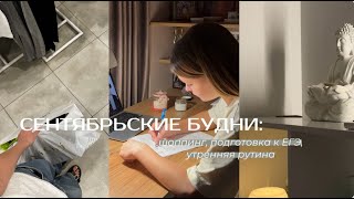 VLOG/ Будни 11 классницы: шоппинг, подготовка к ЕГЭ, утрянняя рутина