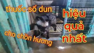 THUỐC SỔ DUN CHO CHỒN HƯƠNG HIỆU QUẢ NHẤT