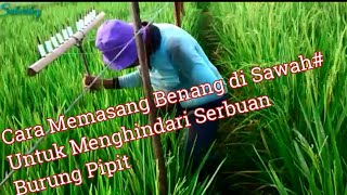 Playtube Pk Ultimate Video Sharing Website