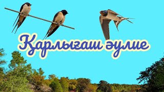 Қарлығаш әулие #аңыз #легенда