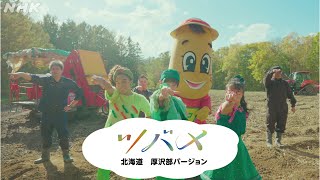 [あおきいろ]【ツバメ】北海道厚沢部バージョン | ひろがれ！いろとりどり | 未来へ17アクション | SDGs | NHK