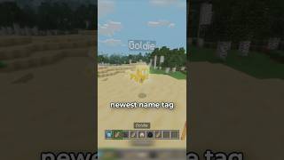 NEW NAME TAG EASTER EGGS
