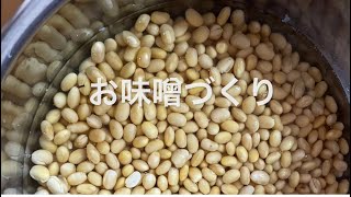 大豆からお味噌作り