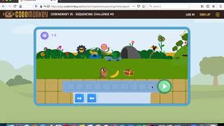 Code Monkey Jr 1 8