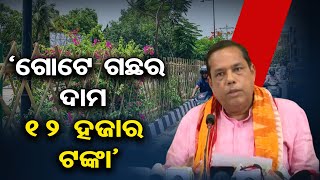 ‘ଗୋଟେ ଗଛର ଦାମ 12 ହଜାର ଟଙ୍କା’ | Odisha Reporter