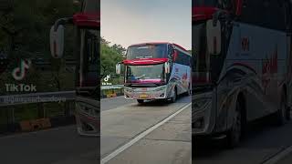 STORY WA BUS MPM#trending#bussid371 #viral#yt#bussidsimulatorindonesiamod#shorts