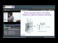 Detailed Operation of Protein Purification Using the BioRad Profinia System