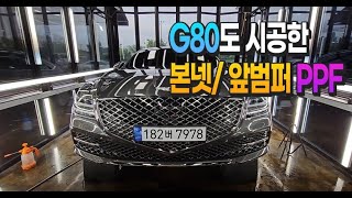 G80도 한다!! (본넷, 앞범퍼 PPF) Genesis G80 PPF