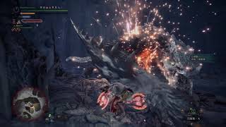 [MHWI] 霜刃冰牙龍 帝王火雙刀 5:59